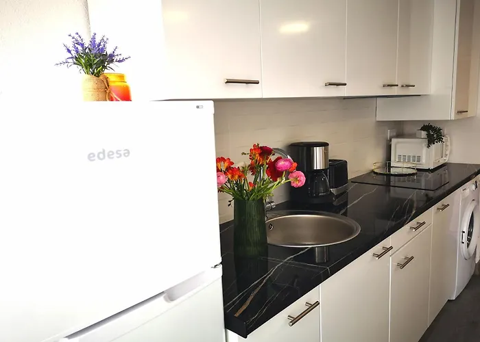 Apartment Dinamarca With 2 Bedrooms, 50 Mts From The *